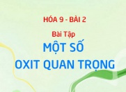Bài tập về Canxi Oxit CaO, Lưu huỳnh Dioxit SO2: các Oxit quan trọng - Hóa 9 bài 2